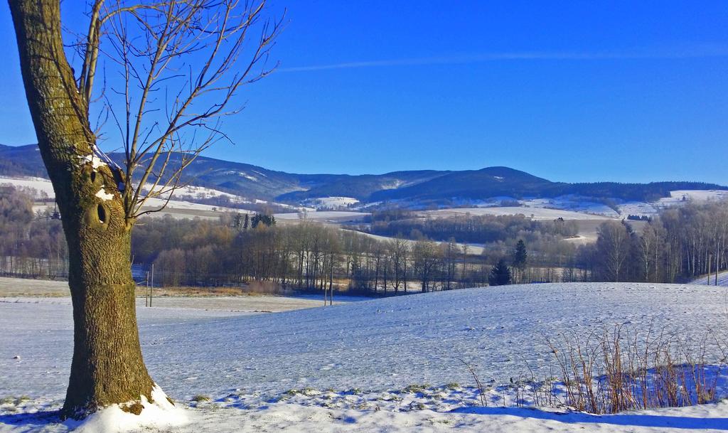 Penzion Na Cervenem Potoce Králíky Dış mekan fotoğraf